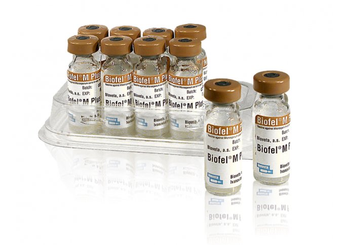 BIOFEL M PLUS, INJECTION SUSPENSION FOR CATS malta, Bioveta malta, Equitrade Ltd malta