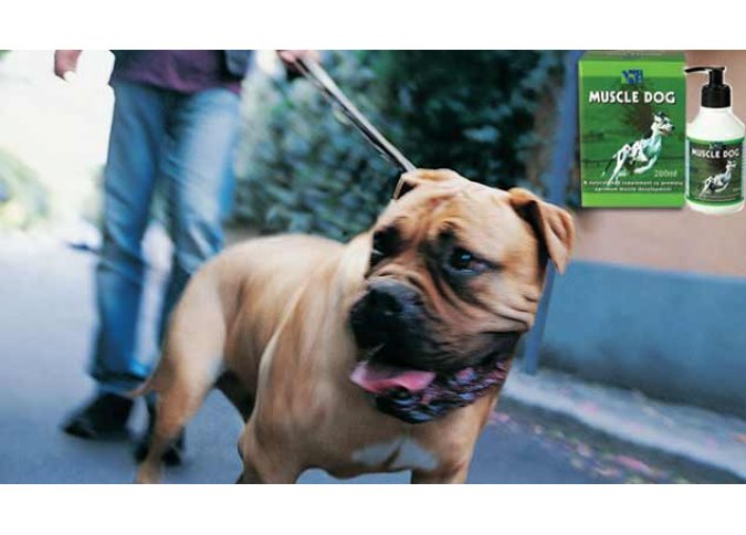 TRM Pet - Muscle Dog – For optimum muscle development malta,  malta, Equitrade Ltd malta